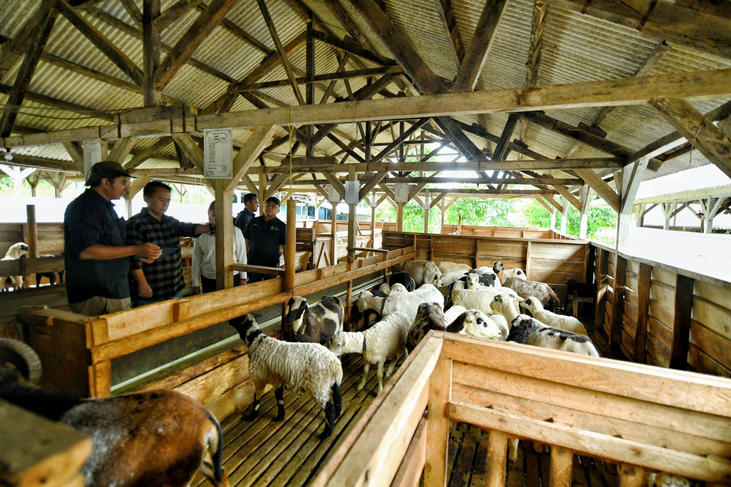 UPTD Balai Pengembangan Pembibitan Ternak Domba dan Kambing Margawati di Kelurahan Sukanegla, Kecamatan Garut Kota, Kabupaten Garut.