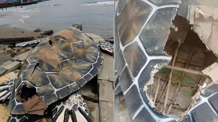 Patung penyu disebut-sebut menghabiskan dana Rp 15 miliar rusak dan disebut dibuat pakai kardus.