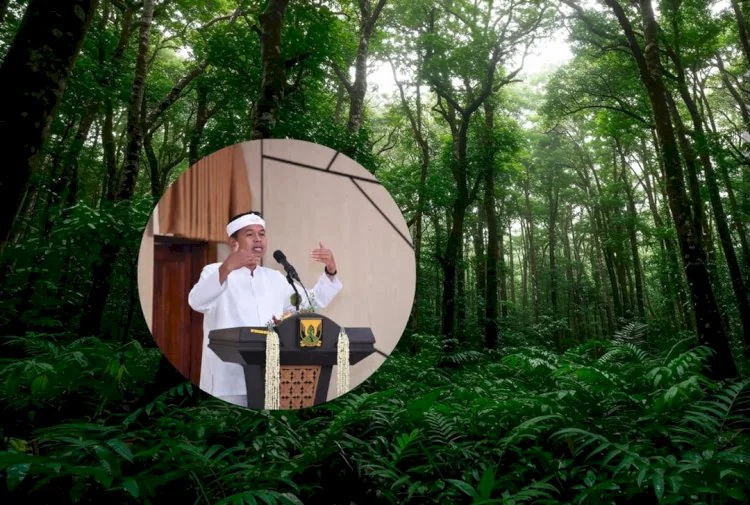 Masyarakat Tangani Hutan Rusak, Dedi Mulyadi Bakal Gaji Rp50 Ribu per Hari
