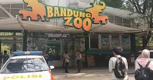 Polemik Bandung Zoo, Wali Kota Farhan dan Pemkot Ikut Digugat