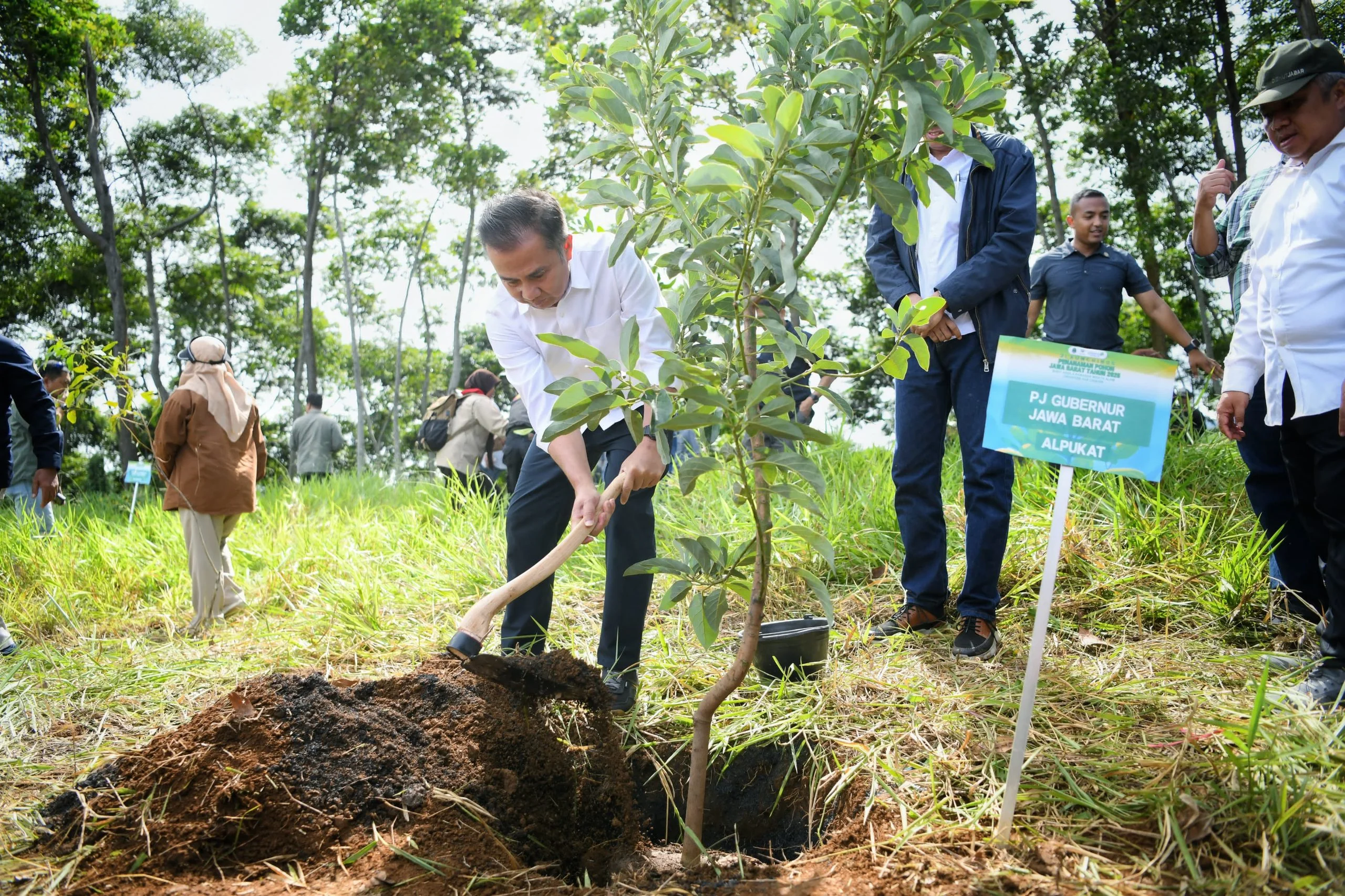 Penjabat Gubernur Jabar Bey Machmudin menanam pohon buah di kawasan Cikanyere, Desa Pakuon, Kecamatan Sukaresmi, Kabupaten Cianjur, Kamis (2/1/2025).
