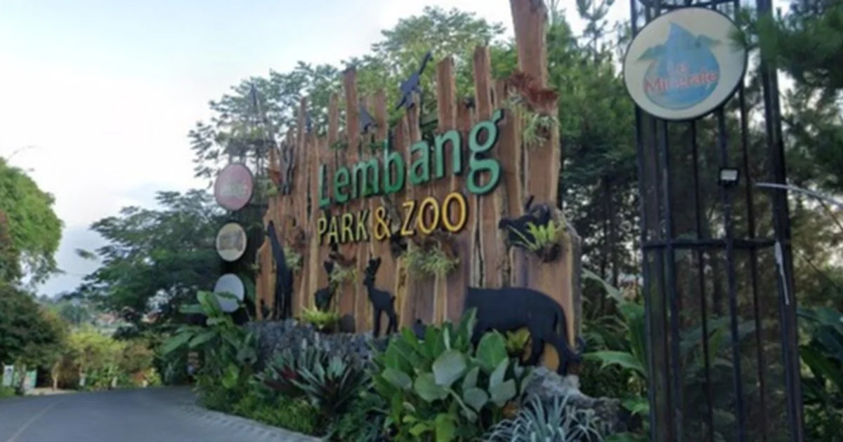Macan Tutul Sudah Lari ke Hutan, Lembang Park and Zoo Buka Lagi
