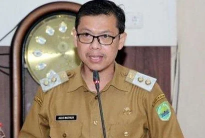 Ade Ruhandi, Wakil Bupati Kabupatén Bogor