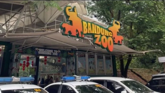 Bandung Zoo Harus Bayar Kejati Jabar, Satwa dan Pekerja Jadi Korban, Begini Respons Farhan