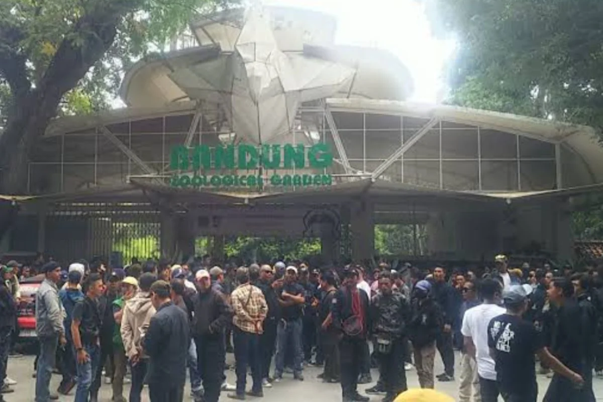 Ratusan Pegawai Tuntut Bandung Zoo Dibuka Kembali