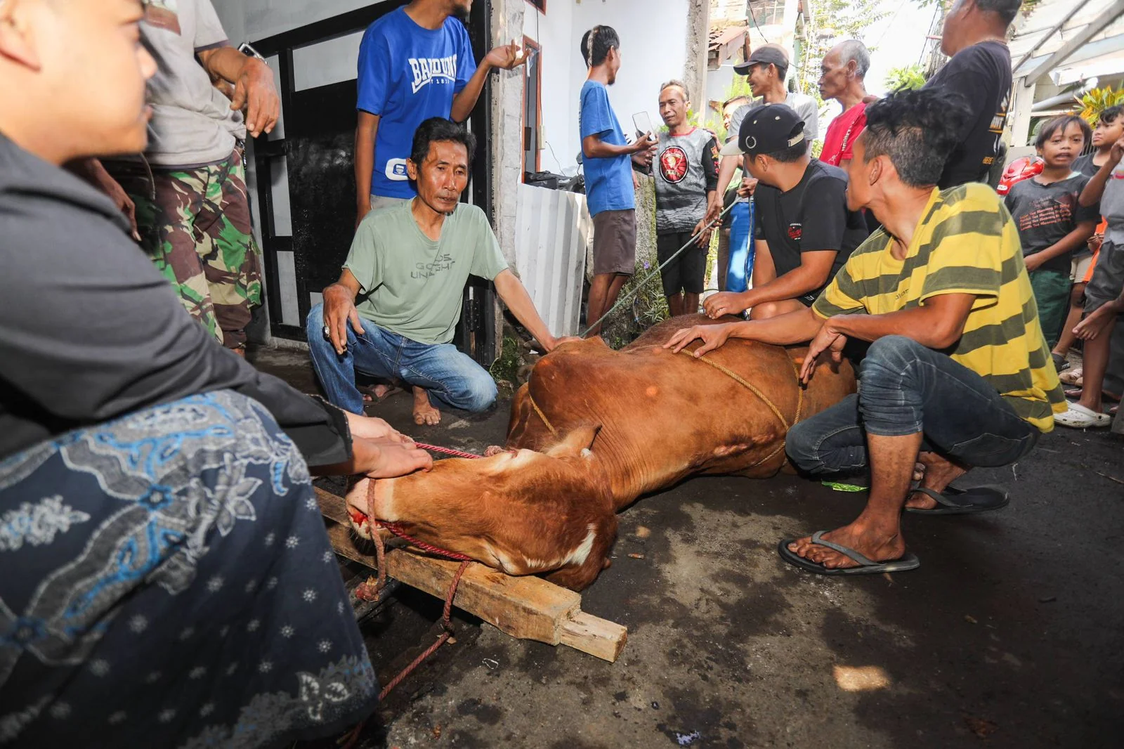 Wali Kota Bandung, Muhammad Farhan menyerahkan hewan kurban berupa satu ekor sapi kepada warga Jalan Asep Berlian, Gang Banteng No. 32 RT 05 RW 06, Kelurahan Cicadas, Kecamatan Cibeunying Kidul.Dok-Diskominfo Kota Bandung