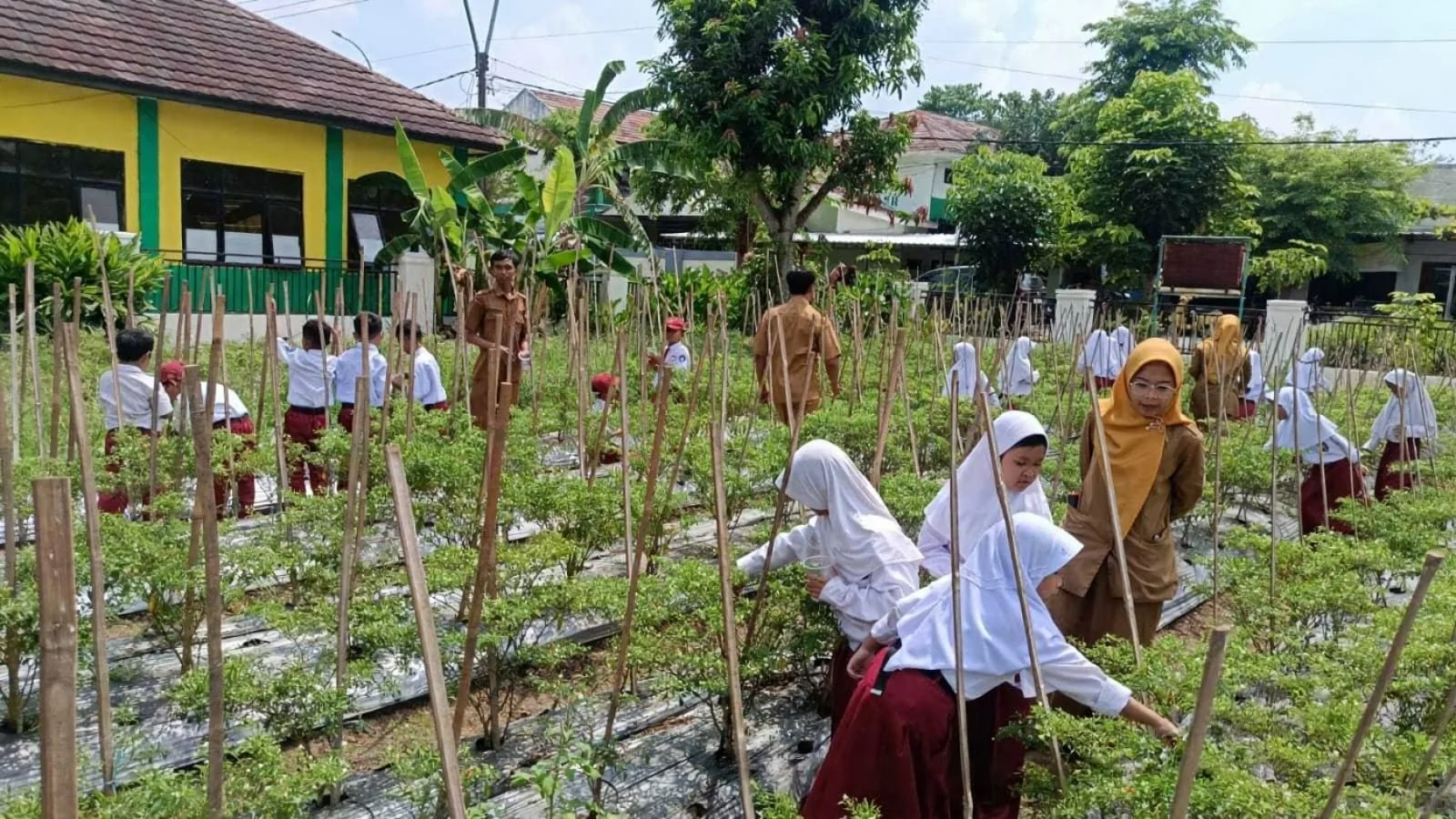 Koordinator BPP Pebayuran, Endah Lestari, menyampaikan Edufarming bertujuan sebagai upaya edukatif.Ist