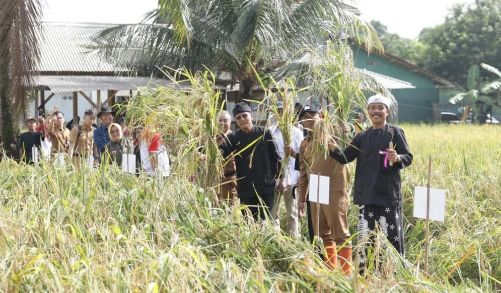 Bupati Ciamis, Herdiat Sunarya, seiring semakin banyaknya petani di Ciamis yang beralih ke pertanian organik.Dok-Diskominfo Kab Ciamis