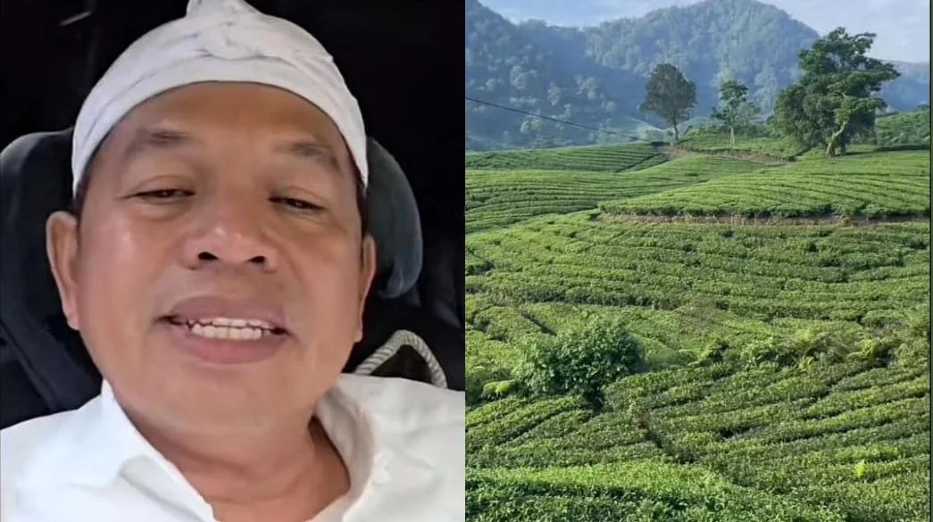 Dedi Mulyadi Akan Tanami Kembali Perkebunan Teh di Pangalengan