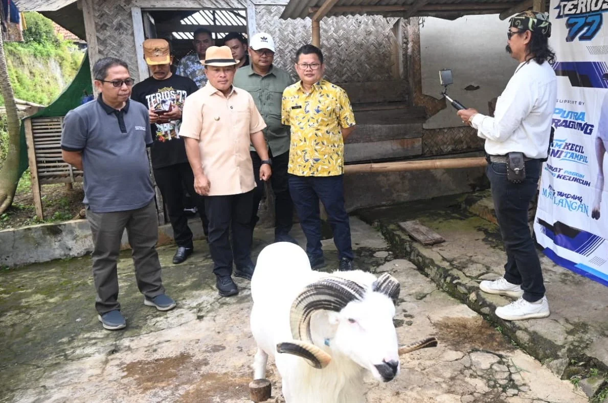 Bupati Dian Rachmat Yanuar, bahwa profesi peternak dapat memberikan mata pencaharian.Ist
