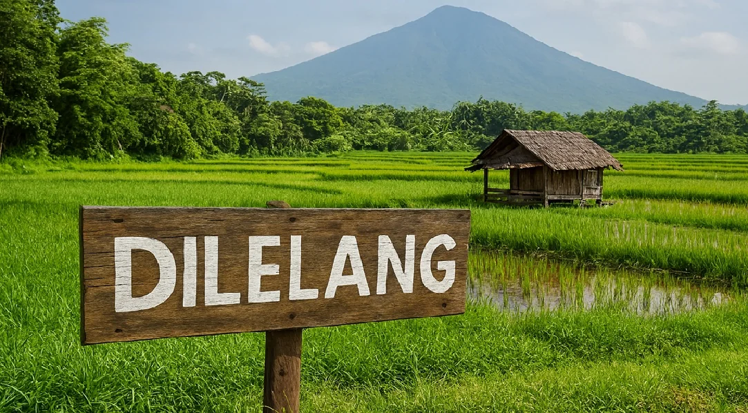 Desa di Bogor Dilelang Jadi Jaminan Utang Bank, Dedi Mulyadi Siapkan Pengacara