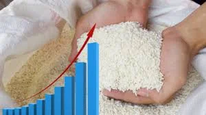 BPS Merilis Rata-rata Harga Beras Agustus 2025 Naik, Meloncak Dibanding Tahun Lalu