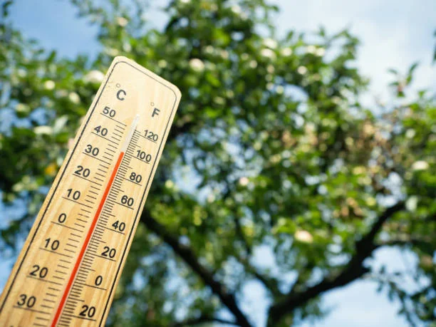 Suhu Panas, Cuaca di Bandung Mencapai 33 Derajat Celsius