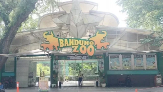 Calon Pengelola Bandung Zoo Masih Bersaing Lelang, Ini Bocoran Pesertanya