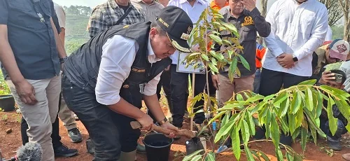 Bupati Sumedang Dony Ahmad Munir dan Wakil Bupati M Fajar Aldila bersama unsur Forkopimda melaksanakan Gerakan Penanaman Serentak 30 ribu pohon.Ist
