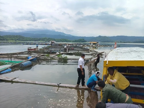 Pembongkaran mandiri ini dilakukan setelah pemerintah memberikan tenggat waktu serta sosialisasi terkait pentingnya menjaga daya tampung dan kualitas air bendungan.Ist