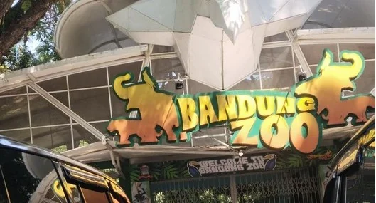 Kemenhut Gandeng 14 Vendor, Ambil Alih Pakan Satwa Bandung Zoo