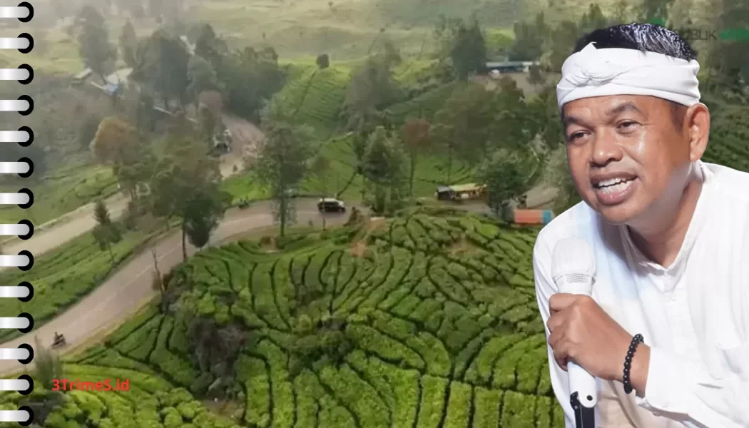 Dedi Mulyadi Larang Tebang Pohon, Penataan Tata Ruang Libatkan ATR/BPN