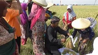 Salah sahijina nyaéta upacara adat Sunda anu masih dilestarikan nepi ka kiwari, nya éta Nyalin.