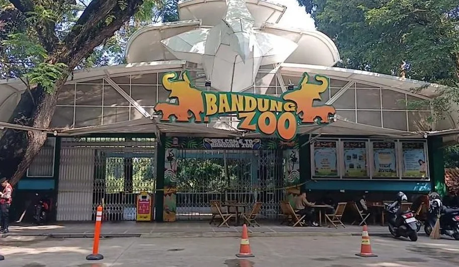 Lelang Pengelola Bandung Zoo Rampung Akhir Mei, Ini Penyebab Belum  Ada Pemenang